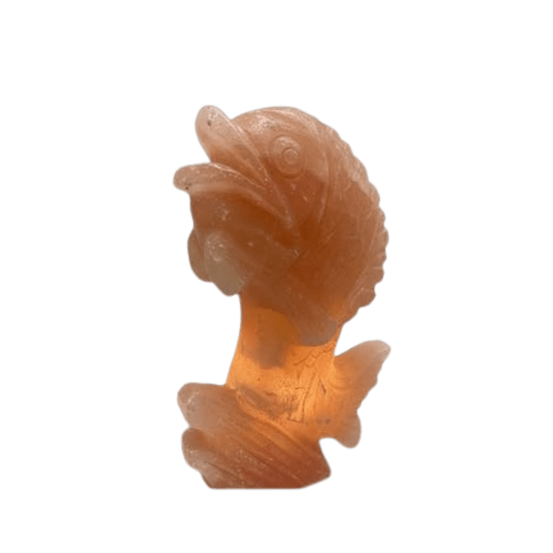 Fish Shape Lamp Big