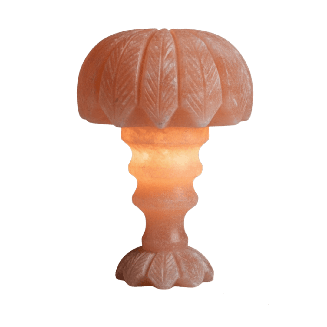 Original Hand-Carved Flower Lamp Himalayan Salt Stone Lamp - Premium Khewra Rock Salt Decor in Pakistan - Orania Premium