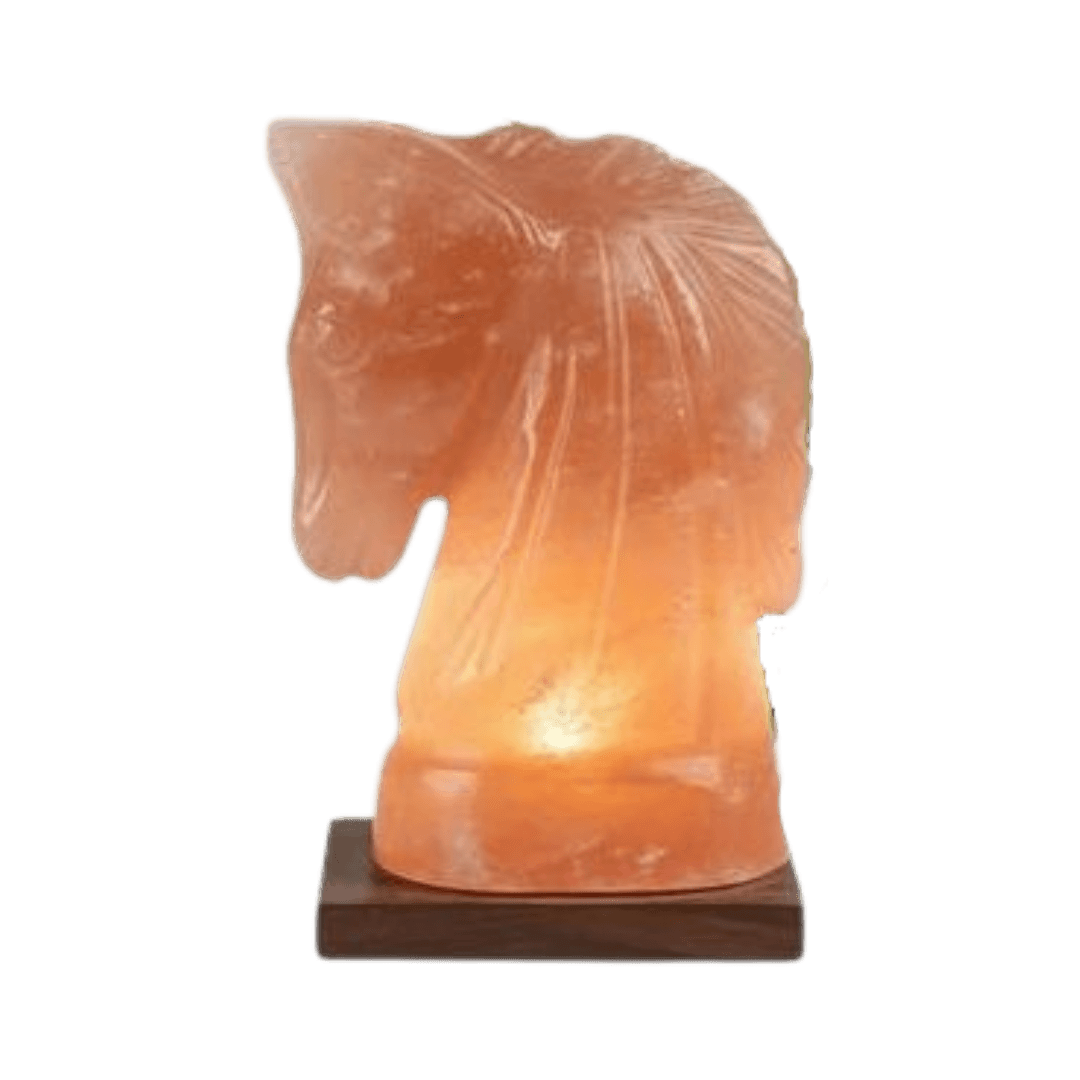 Original Hand-Carved The Horse Sculpture Himalayan Salt Stone Lamp - Premium Khewra Rock Salt Decor in Pakistan - Orania Premium